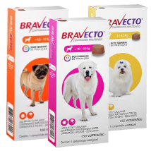 Medicamento para Cachorro