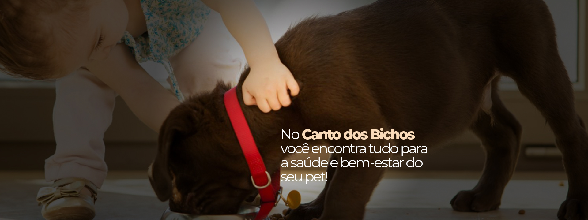 Canto dos Bichos